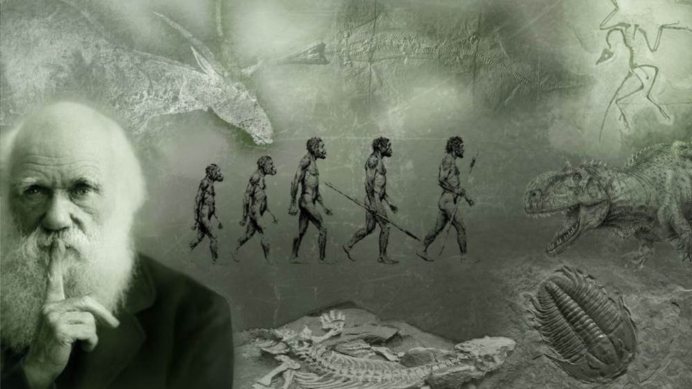 Chân dung Charles Darwin